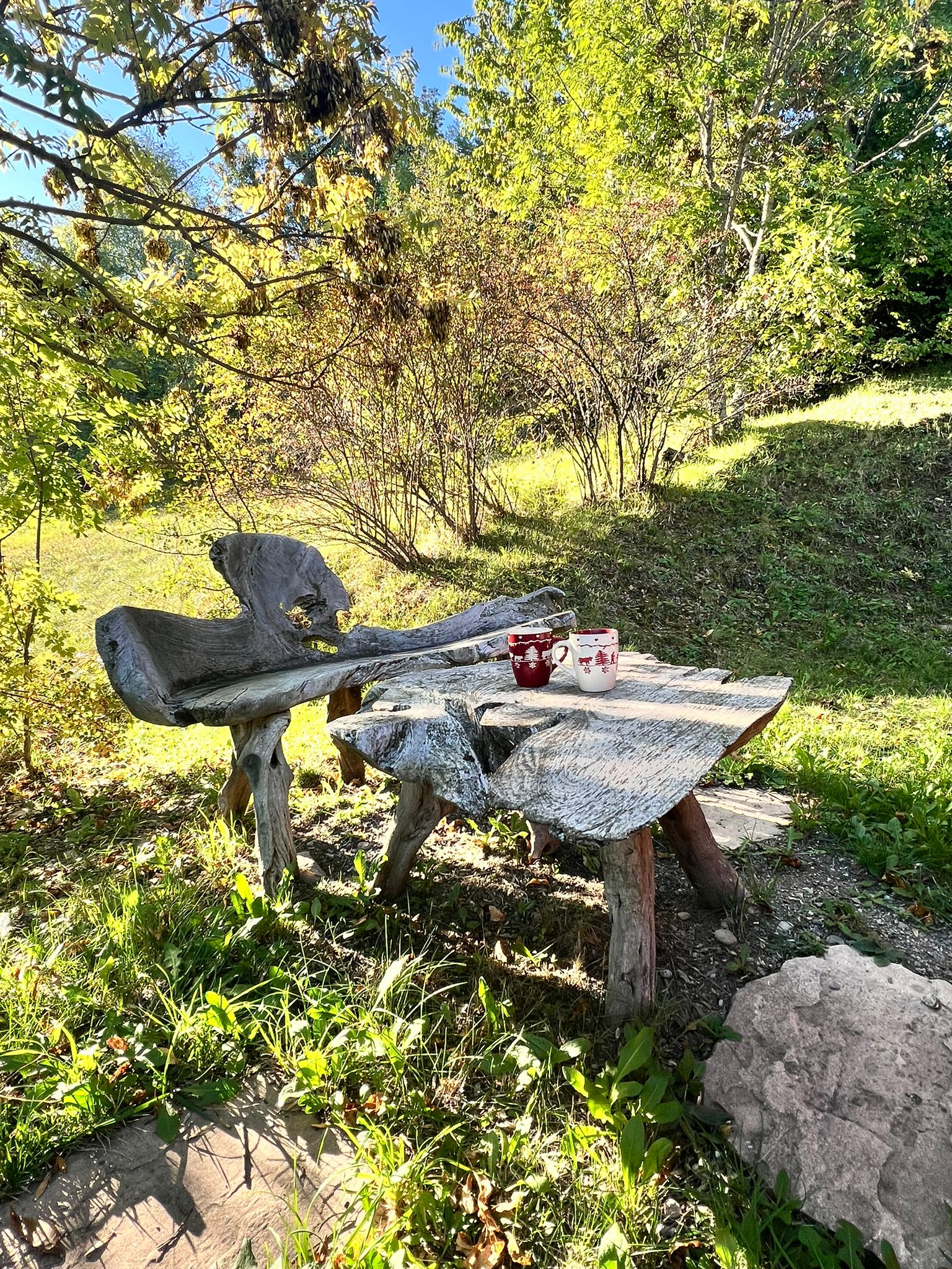 Espace détente extérieur